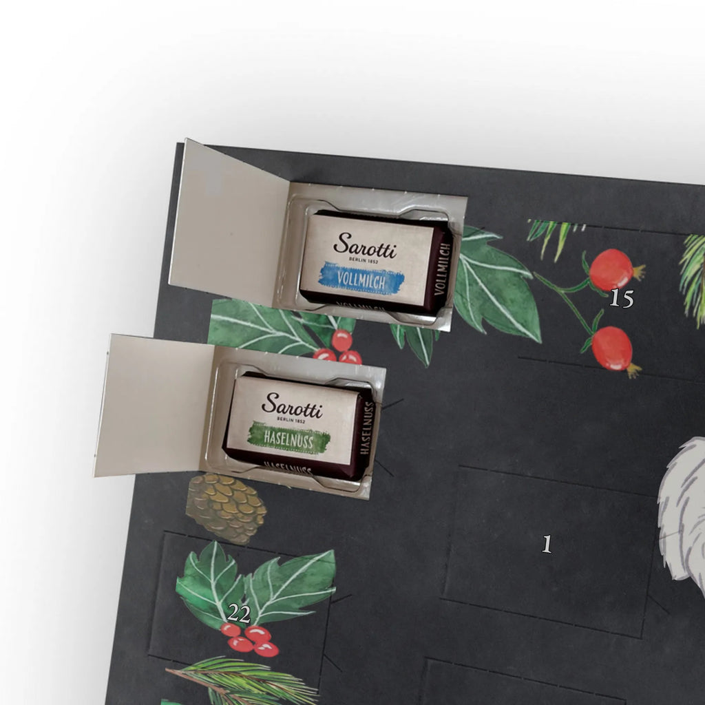 Adventskalender Malteser Moment Weihnachtskalender Schokolade, adventskalender mit pralinen, adventskalender süßigkeiten, weihnachtskalender schoko, Schoko Adventskalender, adventskalender pralinen, schokokalender, pralinen adventskalender, Schokoladen Adventskalender, schoko weihnachtskalender, advent kalender, kalender schokolade, adventskalender mit schokolade, süßigkeiten adventskalender, schoko kalender, Adventskalender Schokolade, süßigkeiten kalender, adventskalender mit süßigkeiten, Weihnachtskalender, Adventskalender, schokoladenkalender, schokolade adventskalender, schokoladen kalender, Welpe, Tierfreund, Hundebesitzer, Rassehund, Hunderasse, Hund, Schenken, Geschenk, Malteser