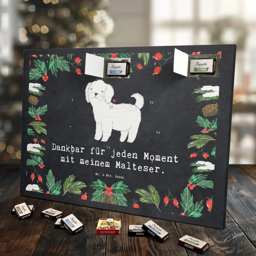 Adventskalender Malteser Moment Weihnachtskalender Schokolade, adventskalender mit pralinen, adventskalender süßigkeiten, weihnachtskalender schoko, Schoko Adventskalender, adventskalender pralinen, schokokalender, pralinen adventskalender, Schokoladen Adventskalender, schoko weihnachtskalender, advent kalender, kalender schokolade, adventskalender mit schokolade, süßigkeiten adventskalender, schoko kalender, Adventskalender Schokolade, süßigkeiten kalender, adventskalender mit süßigkeiten, Weihnachtskalender, Adventskalender, schokoladenkalender, schokolade adventskalender, schokoladen kalender, Welpe, Tierfreund, Hundebesitzer, Rassehund, Hunderasse, Hund, Schenken, Geschenk, Malteser