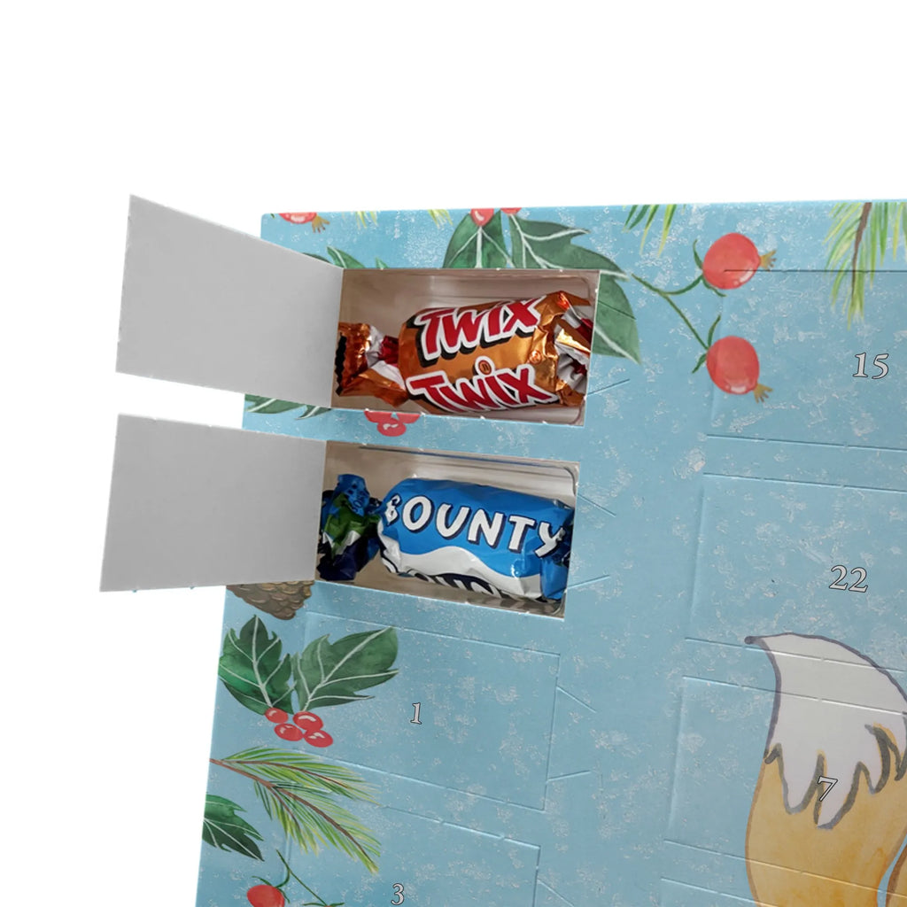 Chocolate advent calendar Fox Best seat neighbor in the world gift, birthday, gift idea, birthday present, giving, thank you, for, make you happy, gift tip, neighbor, chair neighbor, university, school, college, table neighbor, Seat neighbor, classmate, fellow student