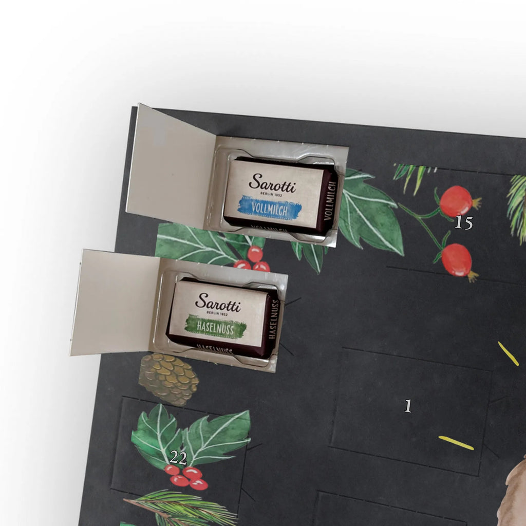 Chocolate advent calendar lama Proud Llama, alpaca, trendy animal, Girlfriend, Different, Best friend, Proud, Llamas, Outsider, Girlfriends, New start