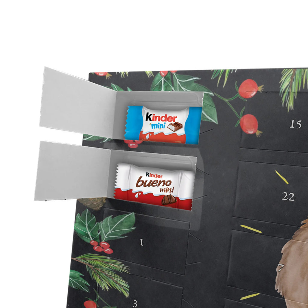 Chocolate advent calendar lama Proud Llama, alpaca, trendy animal, Girlfriend, Different, Best friend, Proud, Llamas, Outsider, Girlfriends, New start