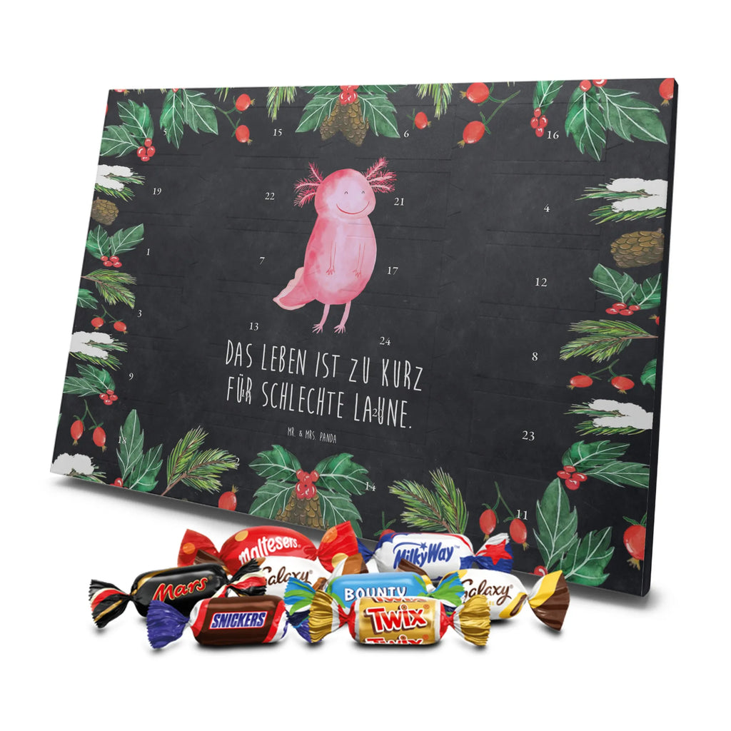 Chocolate advent calendar axolotl Happy Mexican walking fish, Axelotl, marine animals, salamander, amphibian, good mood, tail