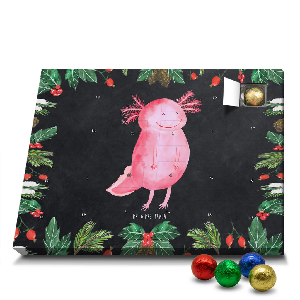 Chocolate advent calendar axolotl Happy Mexican walking fish, Axelotl, marine animals, salamander, amphibian, good mood, tail