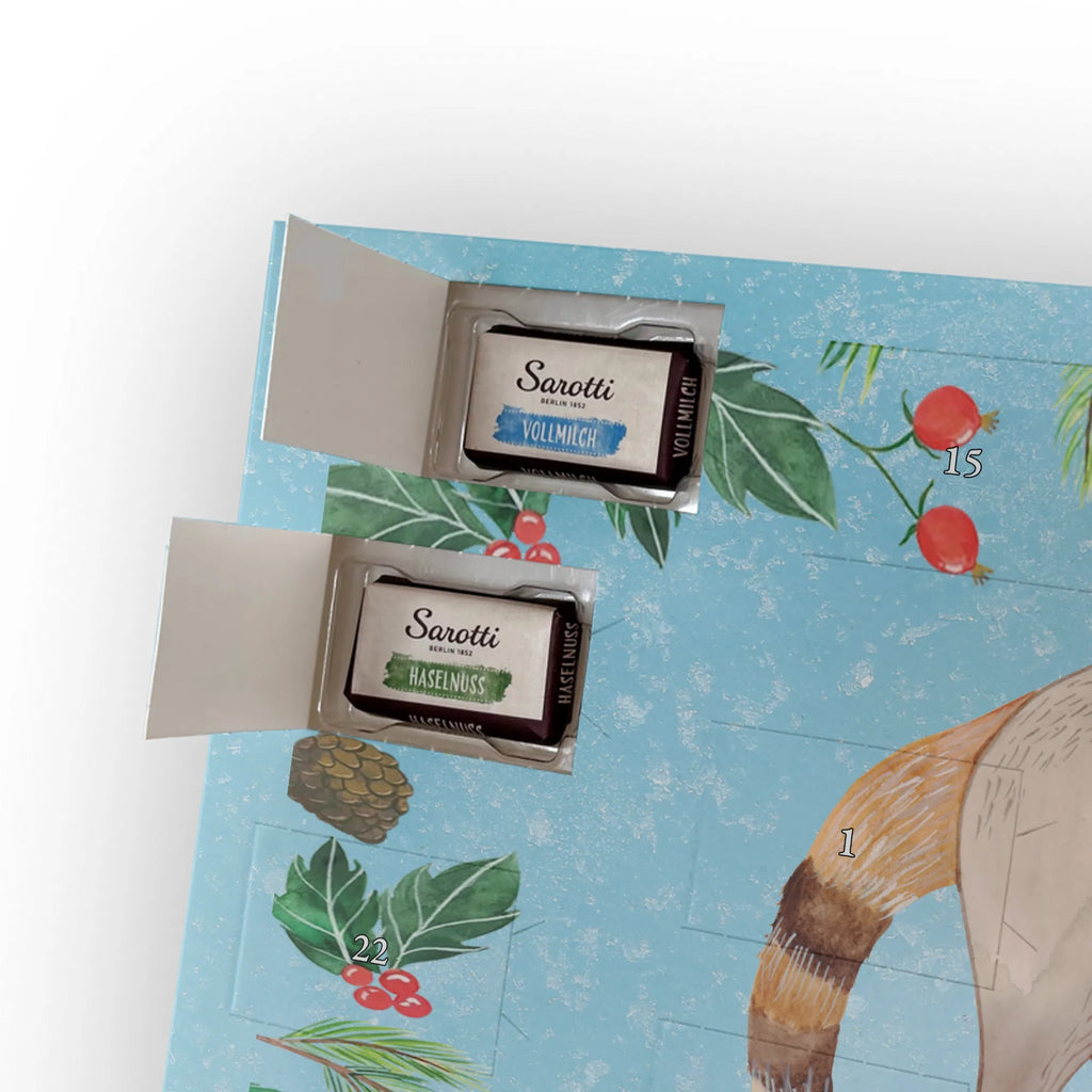 Chocolate advent calendar Coati gift ideas, gifts, small animals, good mood, cute, funny sayings, cute animal motives, hand drawn, special gifts, card, animal lover, Nose bear, trunk bear