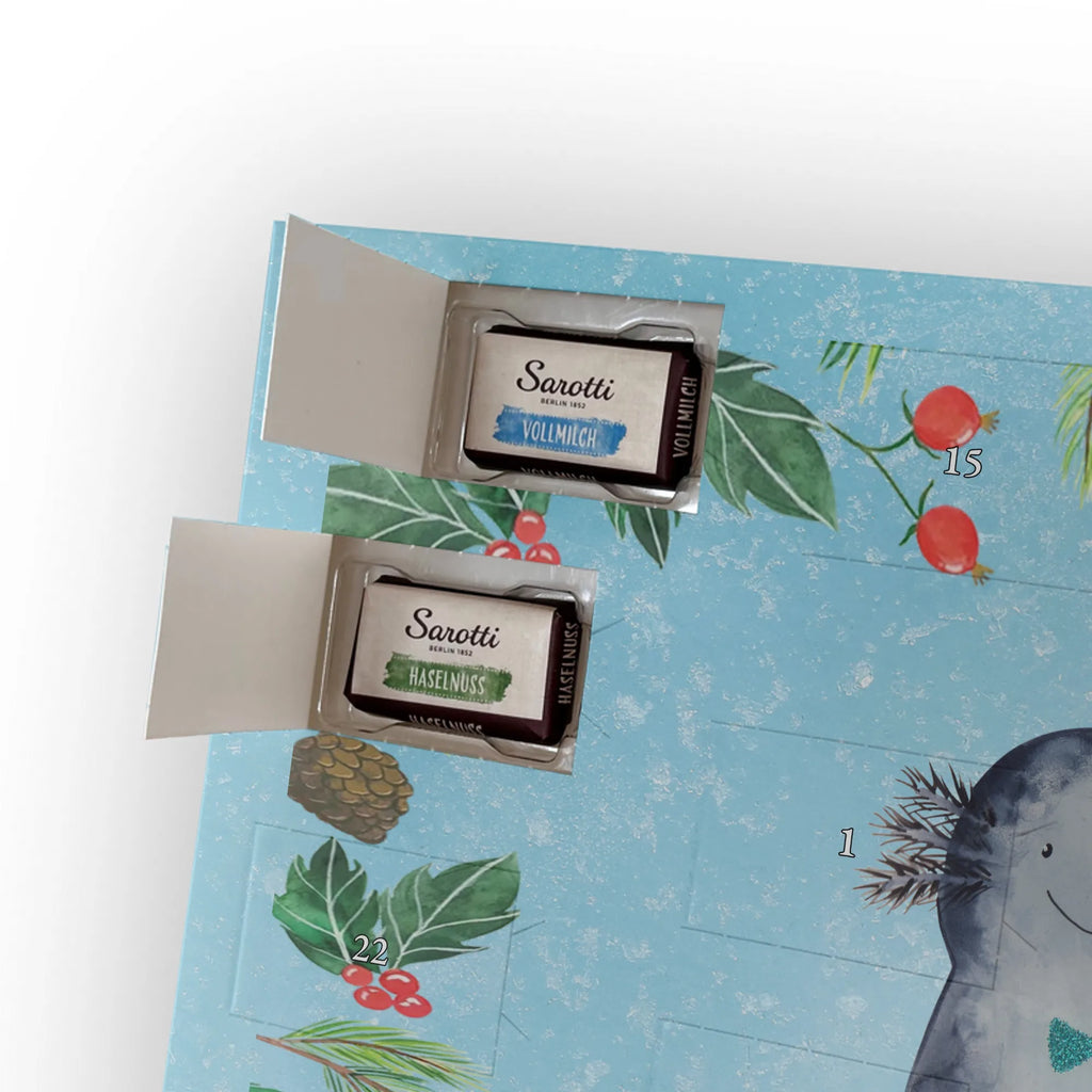 Chocolate advent calendar axolotl Girlfriend Mexican walking fish, Axelotl, marine animals, salamander, amphibian, husband, valentine's day, great love, friend, tail, fiancé, anniversary, proof of love