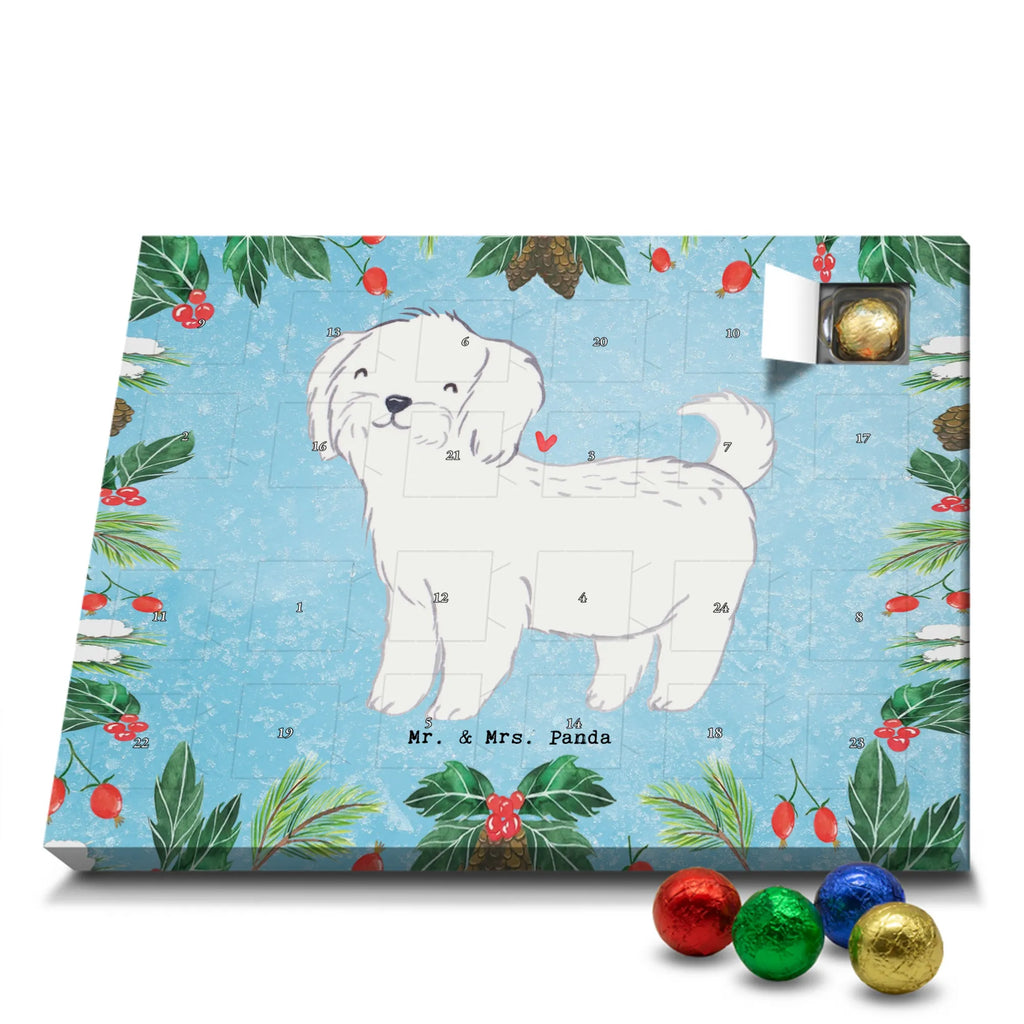 Adventskalender Malteser Moment Weihnachtskalender Schokolade, adventskalender mit pralinen, adventskalender süßigkeiten, weihnachtskalender schoko, Schoko Adventskalender, adventskalender pralinen, schokokalender, pralinen adventskalender, Schokoladen Adventskalender, schoko weihnachtskalender, advent kalender, kalender schokolade, adventskalender mit schokolade, süßigkeiten adventskalender, schoko kalender, Adventskalender Schokolade, süßigkeiten kalender, adventskalender mit süßigkeiten, Weihnachtskalender, Adventskalender, schokoladenkalender, schokolade adventskalender, schokoladen kalender, Welpe, Tierfreund, Hundebesitzer, Rassehund, Hunderasse, Hund, Schenken, Geschenk, Malteser