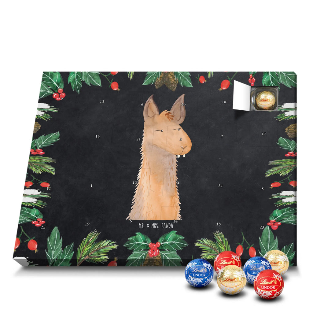 Chocolate advent calendar llama head Annoyed Llama, alpaca, trendy animal, best friend, being right, being annoyed, office life, apprentice, girlfriend