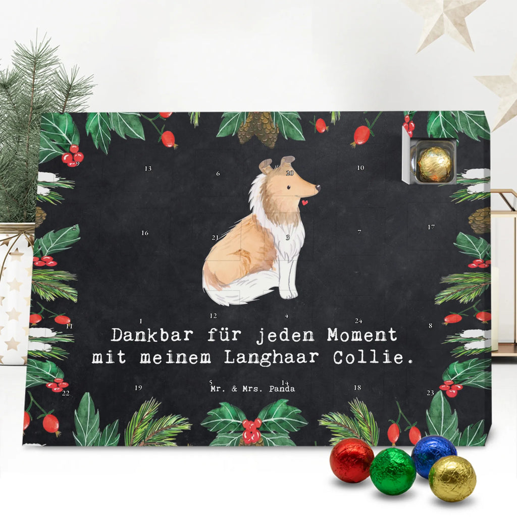 Chocolate advent calendar Long-haired Collie Moment puppy, dog owner, purebred dog, dog breed, giving, animal lover, gift