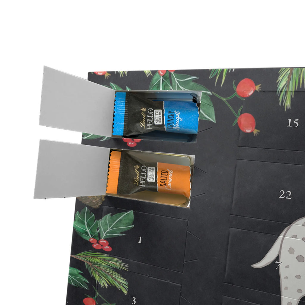 Adventskalender Dalmatiner Moment adventskalender mit schokolade, Adventskalender, adventskalender mit pralinen, schoko kalender, süßigkeiten kalender, schokoladen kalender, schoko weihnachtskalender, süßigkeiten adventskalender, Weihnachtskalender Schokolade, kalender schokolade, schokolade adventskalender, advent kalender, Schoko Adventskalender, schokoladenkalender, schokokalender, Schokoladen Adventskalender, Weihnachtskalender, adventskalender mit süßigkeiten, adventskalender süßigkeiten, weihnachtskalender schoko, pralinen adventskalender, Adventskalender Schokolade, adventskalender pralinen, Welpe, Tierfreund, Hundebesitzer, Rassehund, Hunderasse, Hund, Schenken, Geschenk, Dalmatiner, Dalmatinac