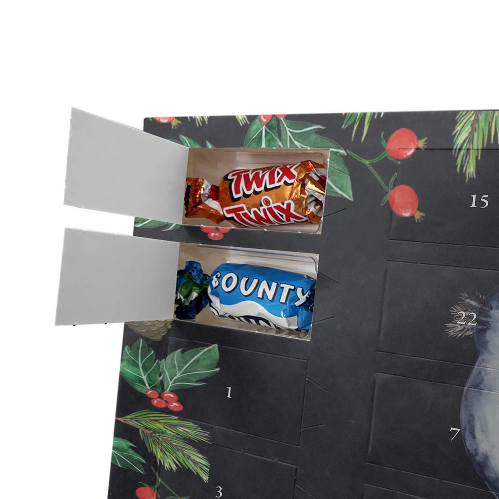 Chocolate advent calendar axolotl Girlfriend Mexican walking fish, Axelotl, marine animals, salamander, amphibian, husband, valentine's day, great love, friend, tail, fiancé, anniversary, proof of love