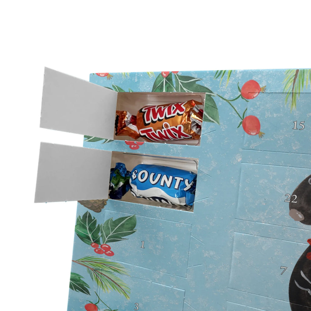 Chocolate advent calendar skunk flower wild animal, daydreamer, predator, dreamy, stink