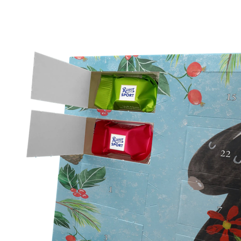 Chocolate advent calendar skunk flower wild animal, daydreamer, predator, dreamy, stink