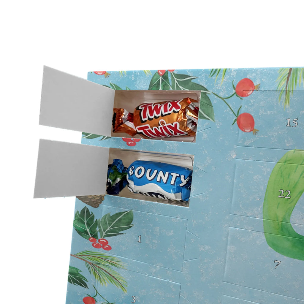  kaktus Szczęśliwy Kaktusy