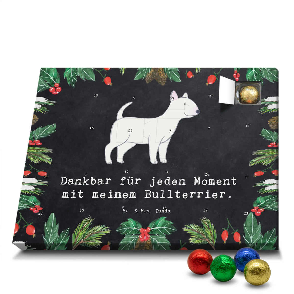  Bullterrier chwila szczeniak, Pies, dawanie, właściciel psa, rasa psa, miłośnik zwierząt, prezent, pies rasowy
