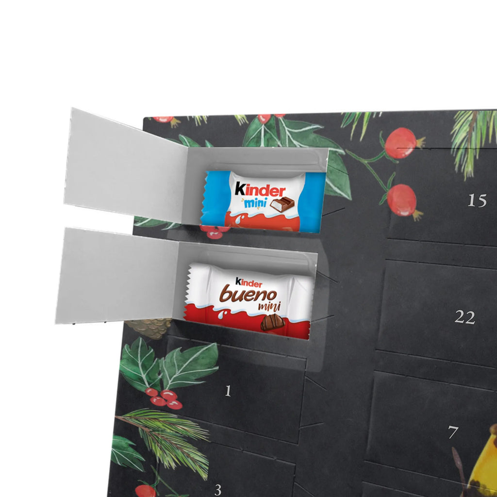  pszczoła Szczęśliwy Os, Trzmiel, Biedronka