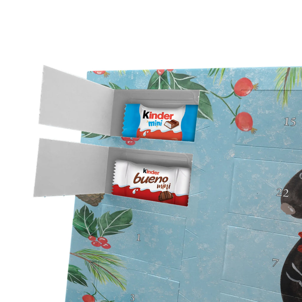 Chocolate advent calendar skunk flower wild animal, daydreamer, predator, dreamy, stink