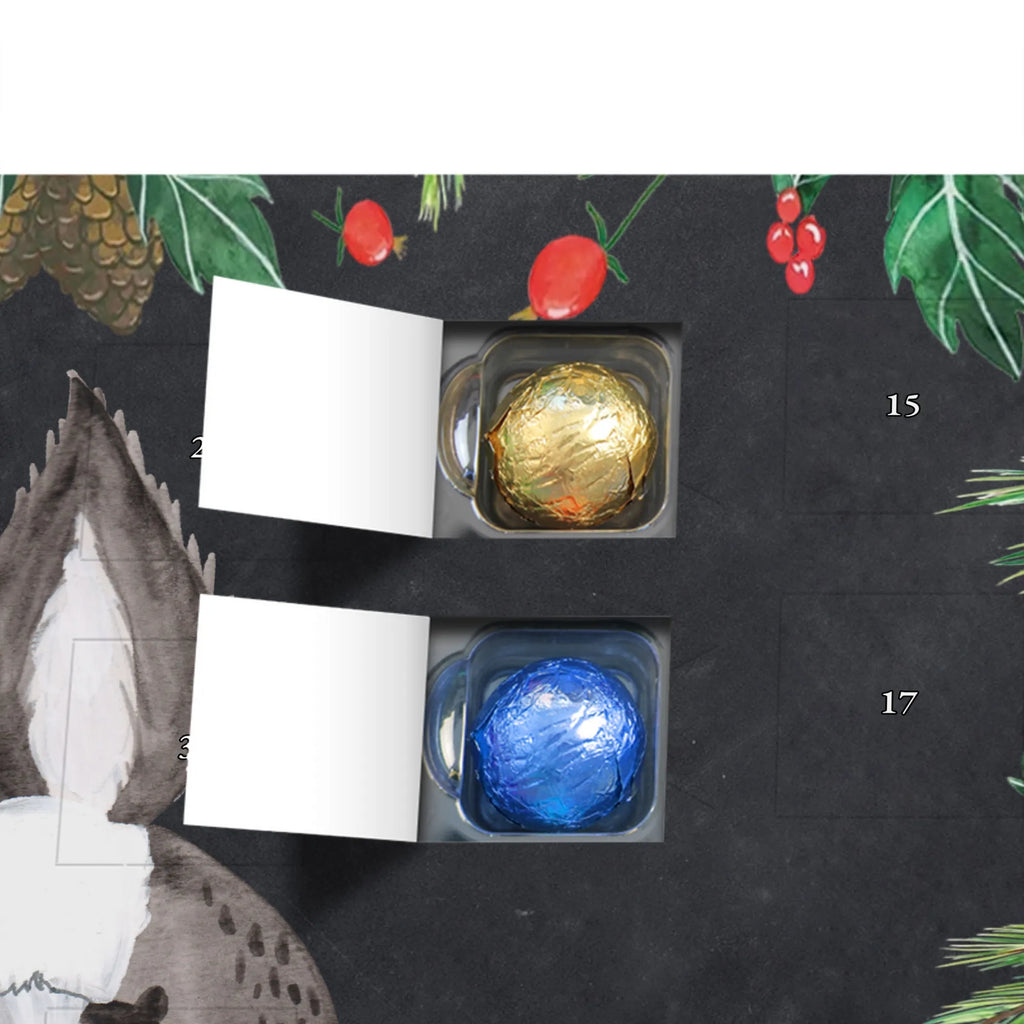 Chocolate advent calendar skunk attack angry, wild animal, predator, stinky, threatening