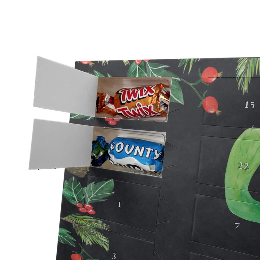 Chocolate advent calendar cactus happy cactus, cactuses, plants, small green cactus, cactus plant, cacti, child protection, colleague, friend, office life, new start, saying, education, mother