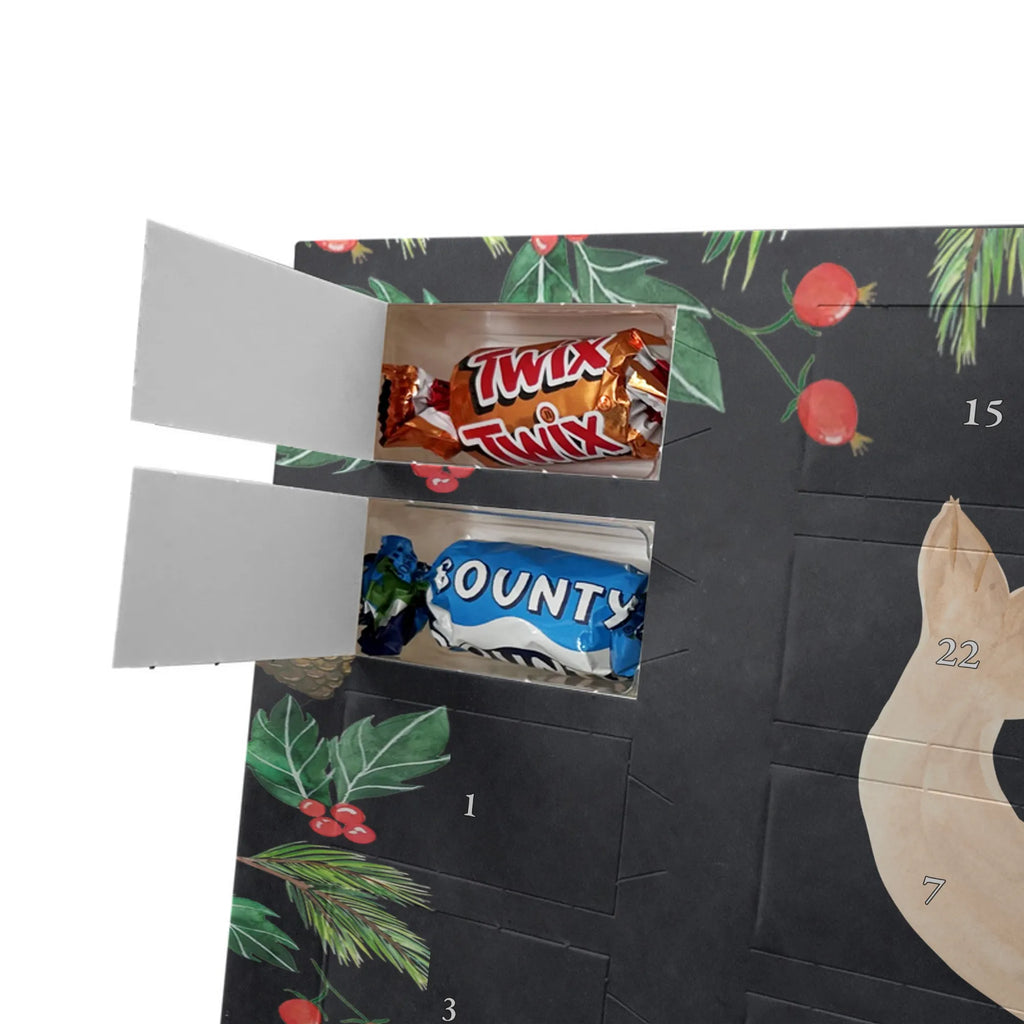 Chocolate advent calendar seal Lay gift ideas, gifts, small animals, good mood, cute, funny sayings, cute animal motives, hand drawn, special gifts, card, animal lover, sea animal, Baltic Sea, North Sea, joy, Seal, seals, laughter