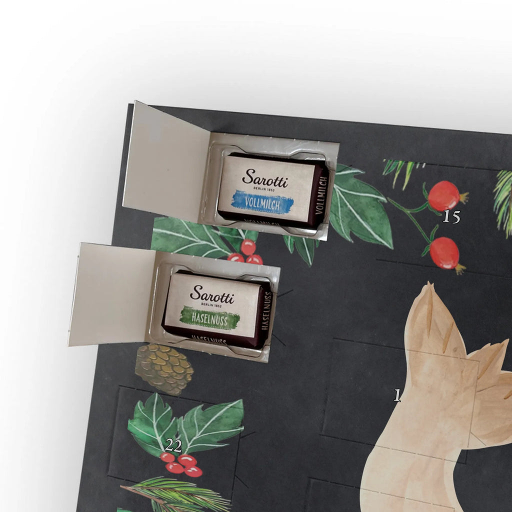 Chocolate advent calendar seal Lay gift ideas, gifts, small animals, good mood, cute, funny sayings, cute animal motives, hand drawn, special gifts, card, animal lover, sea animal, Baltic Sea, North Sea, joy, Seal, seals, laughter