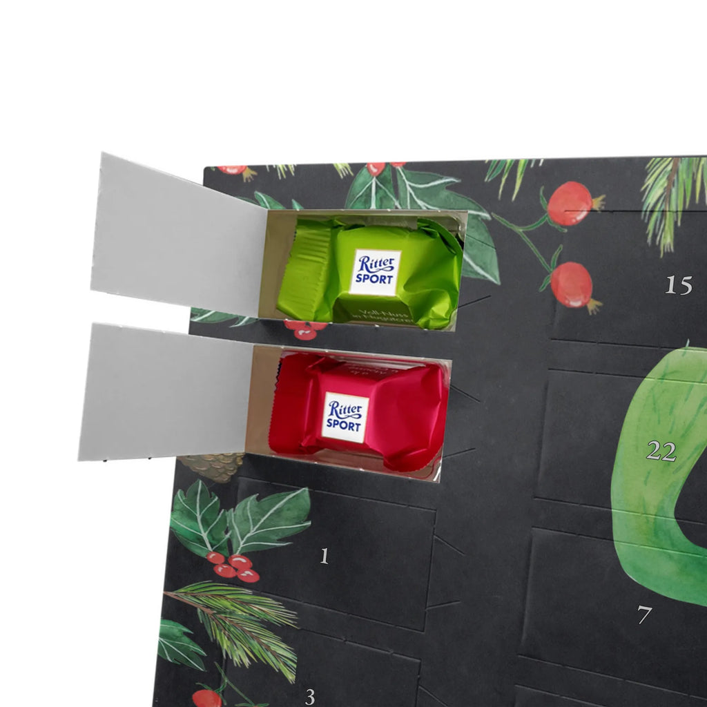  kaktus Szczęśliwy Kaktusy