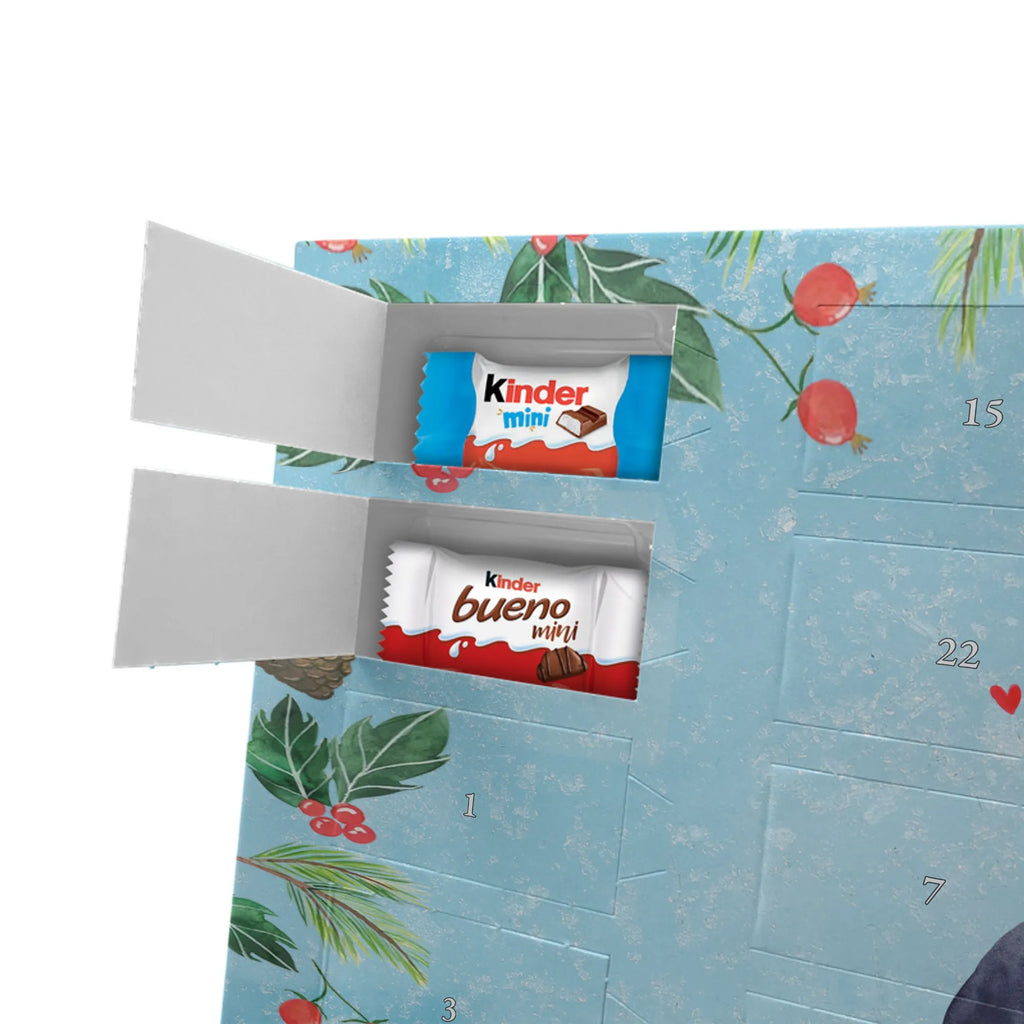 Chocolate advent calendar Penguin diet North Pole, Penguins, losing weight, self-respect, diet, body love, penguins, self-love, weight