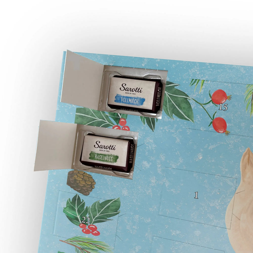 Chocolate advent calendar seal Lay gift ideas, gifts, small animals, good mood, cute, funny sayings, cute animal motives, hand drawn, special gifts, card, animal lover, sea animal, Baltic Sea, North Sea, joy, Seal, seals, laughter