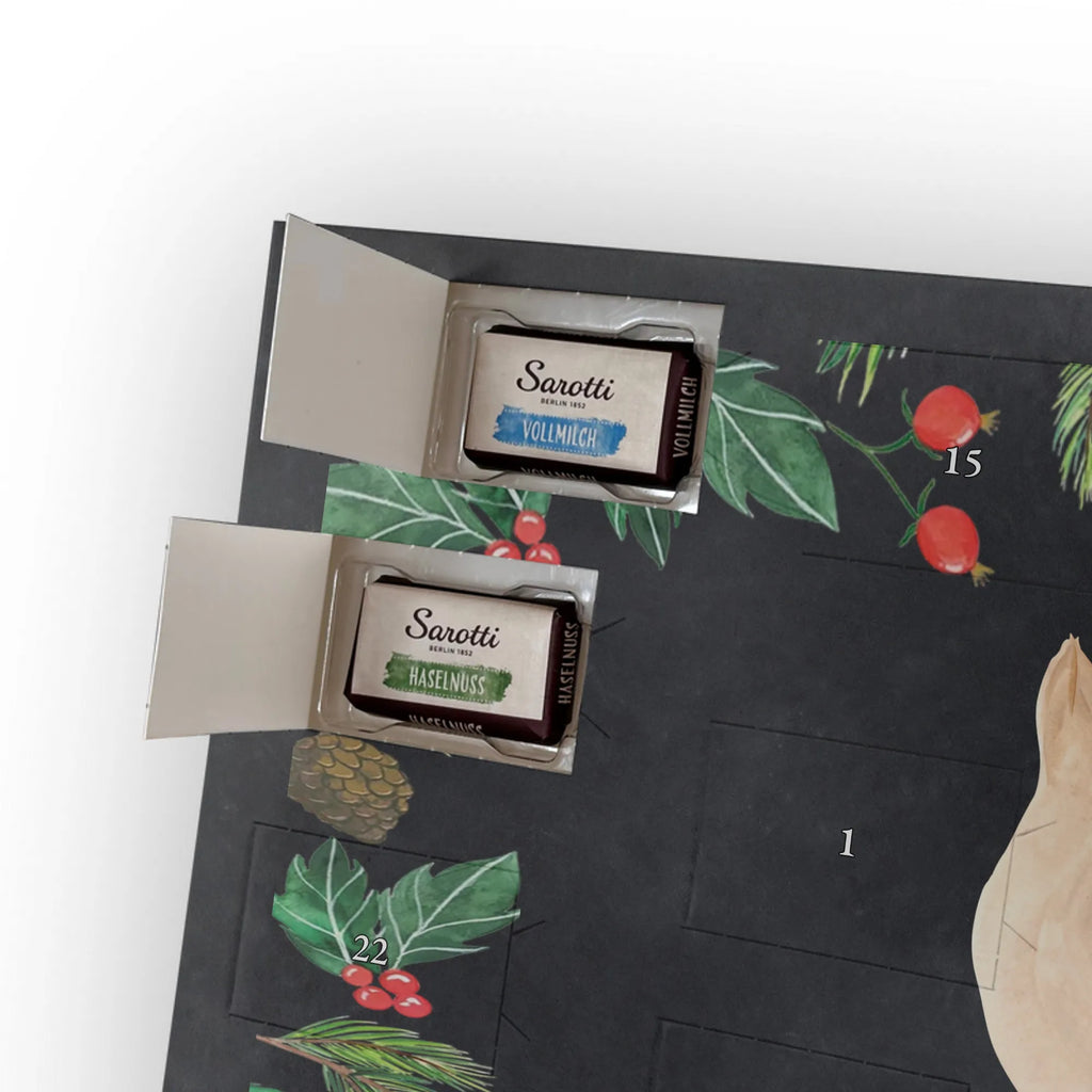 Chocolate advent calendar seal Lay gift ideas, gifts, small animals, good mood, cute, funny sayings, cute animal motives, hand drawn, special gifts, card, animal lover, sea animal, Baltic Sea, North Sea, joy, Seal, seals, laughter