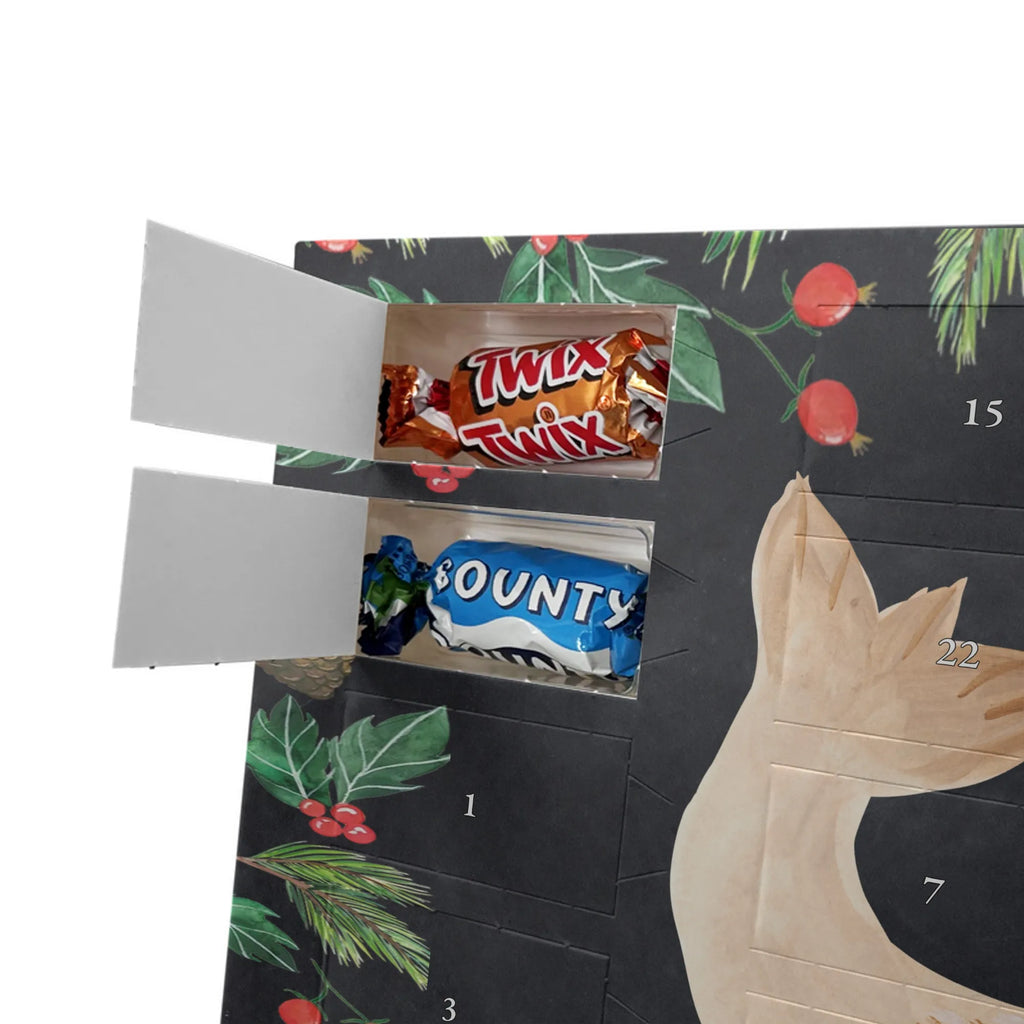 Chocolate advent calendar seal Lay gift ideas, gifts, small animals, good mood, cute, funny sayings, cute animal motives, hand drawn, special gifts, card, animal lover, sea animal, Baltic Sea, North Sea, joy, Seal, seals, laughter