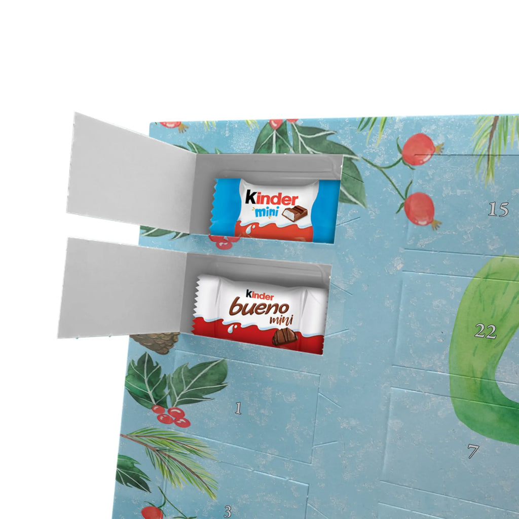  kaktus Szczęśliwy Kaktusy