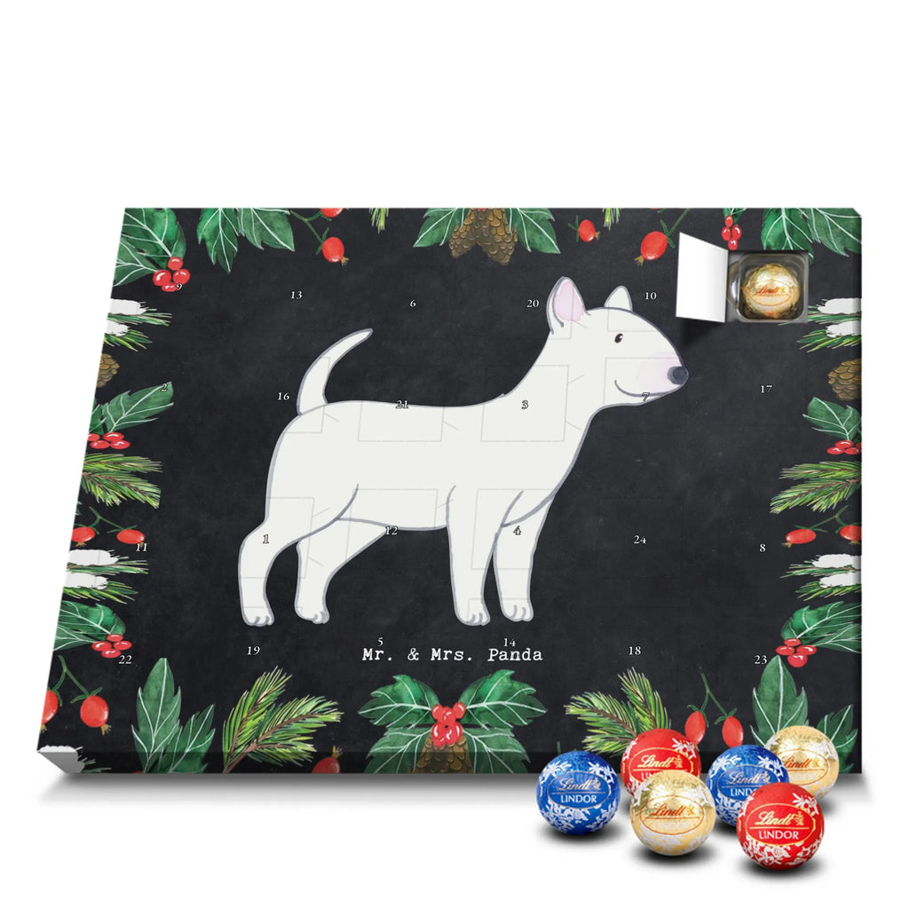 Chocolate advent calendar Bull Terrier Moment puppy, dog owner, purebred dog, dog breed, giving, animal lover, gift