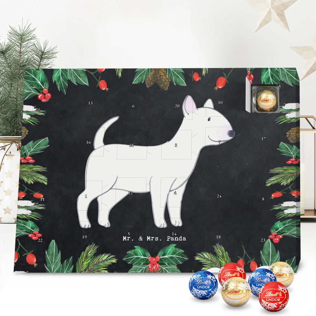 Chocolate advent calendar Bull Terrier Moment puppy, dog owner, purebred dog, dog breed, giving, animal lover, gift