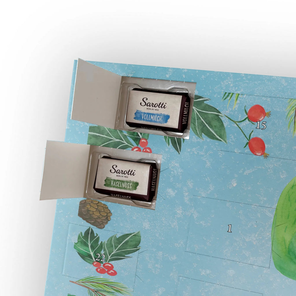  kaktus Szczęśliwy Kaktusy