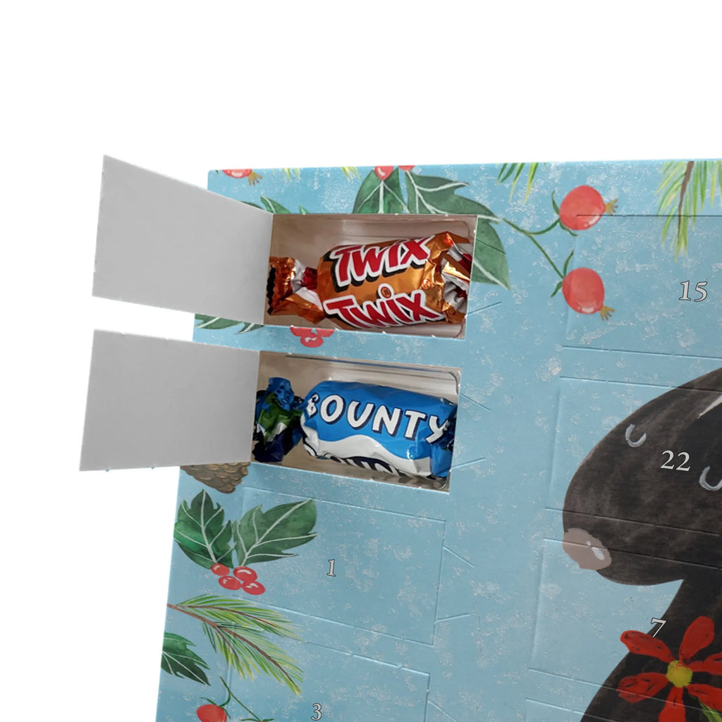 Chocolate advent calendar skunk flower wild animal, daydreamer, predator, dreamy, stink