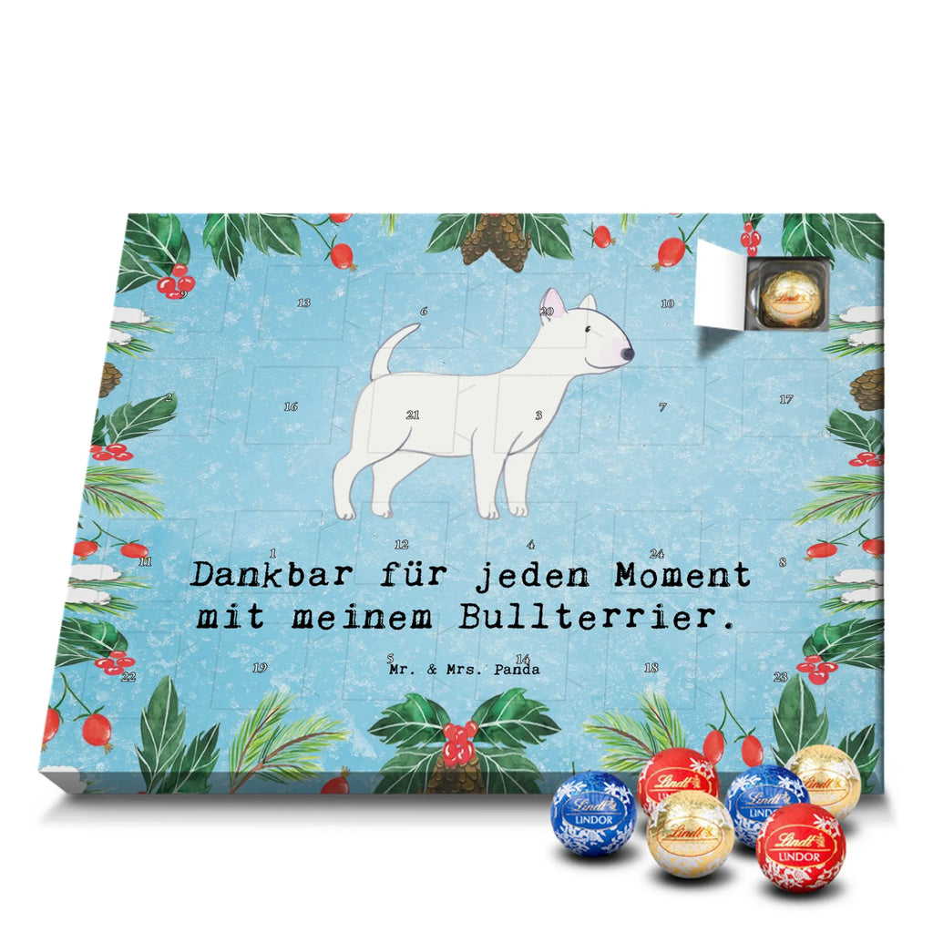 Chocolate advent calendar Bull Terrier Moment puppy, dog owner, purebred dog, dog breed, giving, animal lover, gift