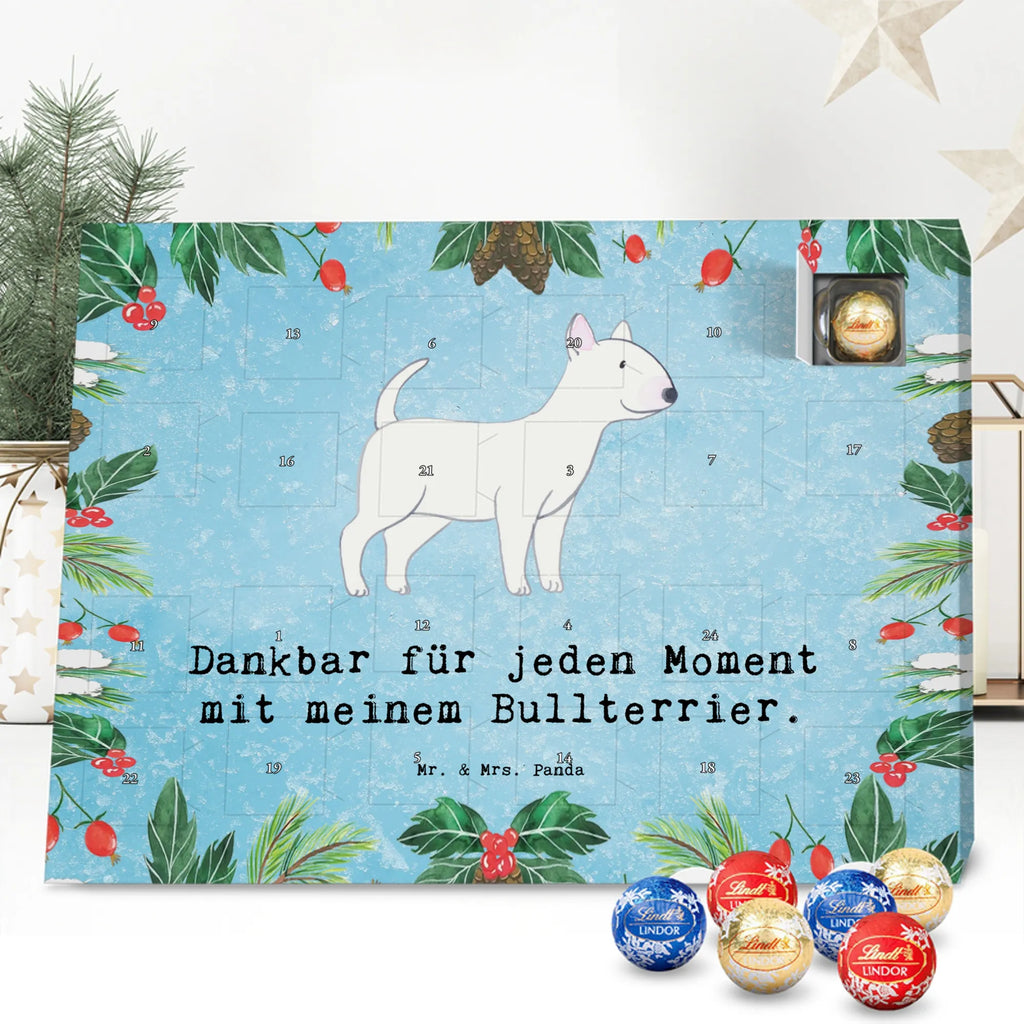 Chocolate advent calendar Bull Terrier Moment puppy, dog owner, purebred dog, dog breed, giving, animal lover, gift