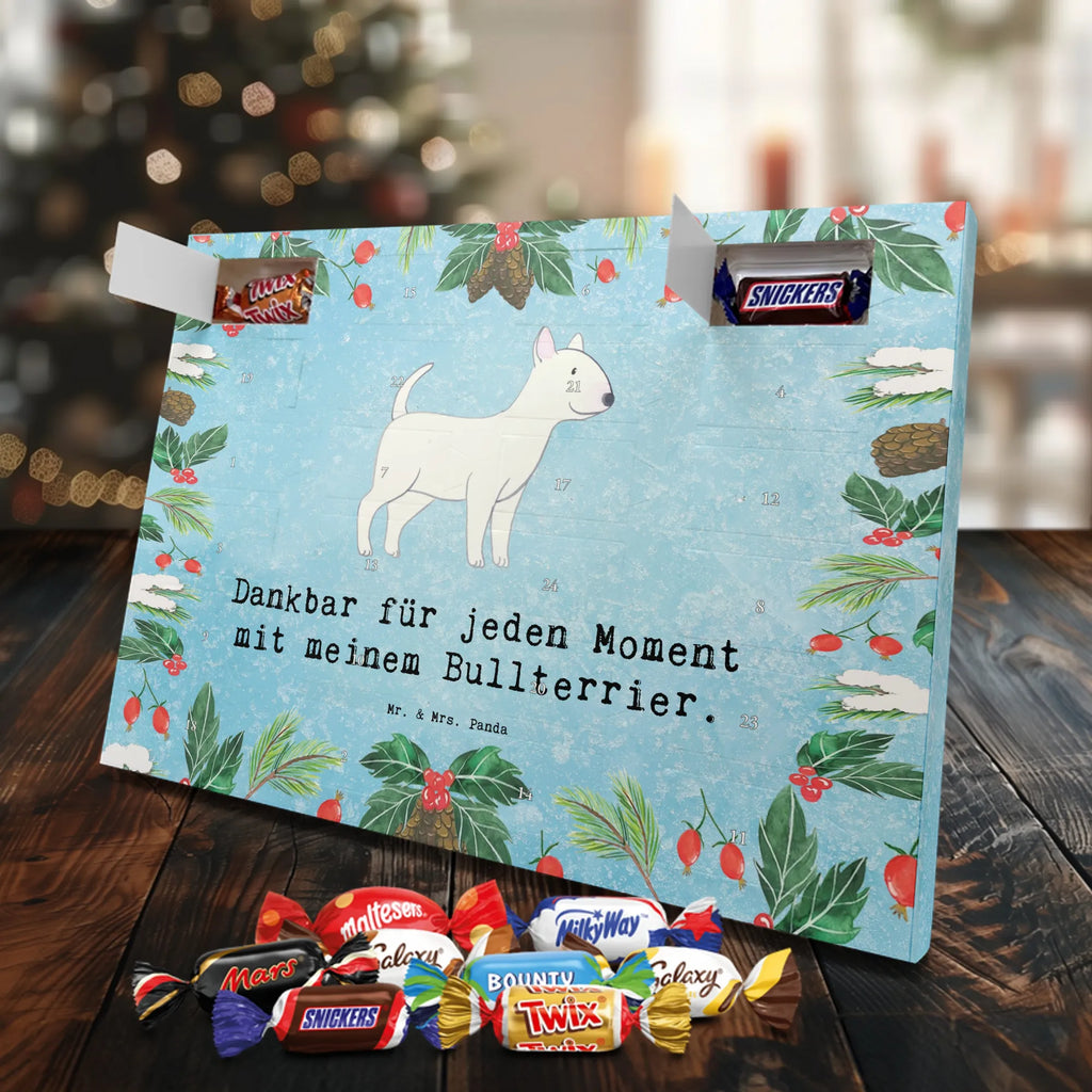 Chocolate advent calendar Bull Terrier Moment puppy, dog owner, purebred dog, dog breed, giving, animal lover, gift