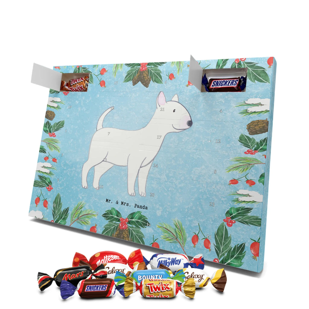 Chocolate advent calendar Bull Terrier Moment puppy, dog owner, purebred dog, dog breed, giving, animal lover, gift