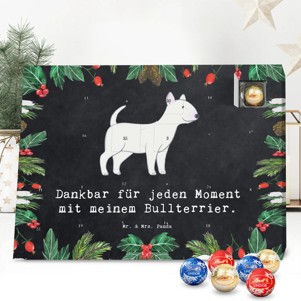 Chocolate advent calendar Bull Terrier Moment puppy, dog owner, purebred dog, dog breed, giving, animal lover, gift
