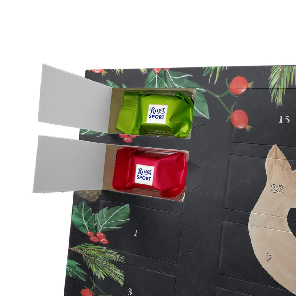 Chocolate advent calendar seal Lay gift ideas, gifts, small animals, good mood, cute, funny sayings, cute animal motives, hand drawn, special gifts, card, animal lover, sea animal, Baltic Sea, North Sea, joy, Seal, seals, laughter