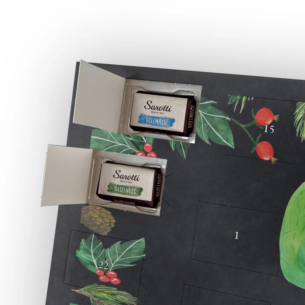 Chocolate advent calendar cactus happy cactus, cactuses, plants, small green cactus, cactus plant, cacti, child protection, colleague, friend, office life, new start, saying, education, mother