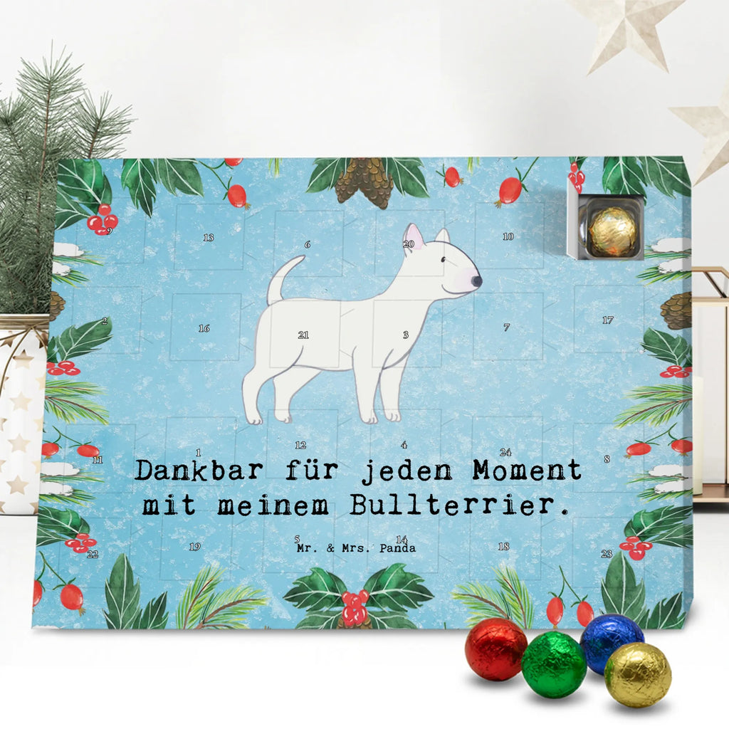 Chocolate advent calendar Bull Terrier Moment puppy, dog owner, purebred dog, dog breed, giving, animal lover, gift