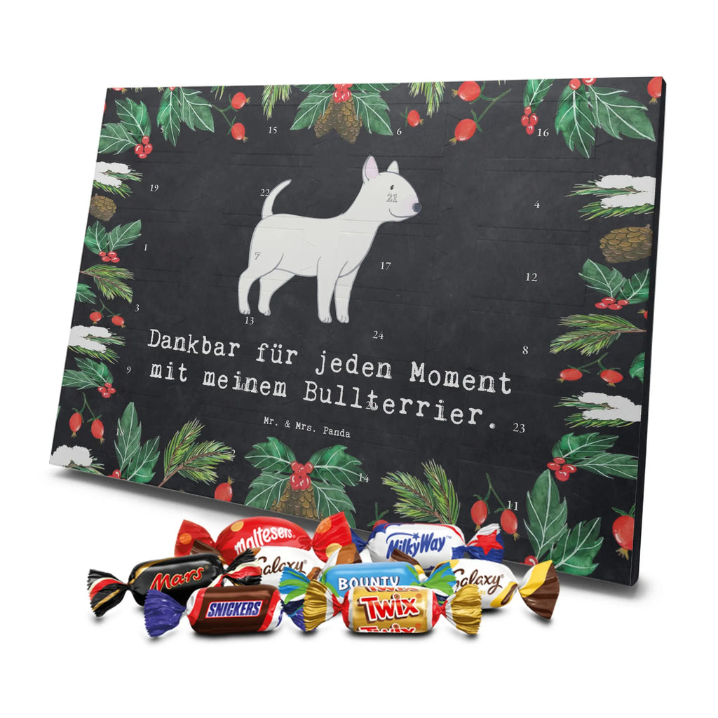Chocolate advent calendar Bull Terrier Moment puppy, dog owner, purebred dog, dog breed, giving, animal lover, gift