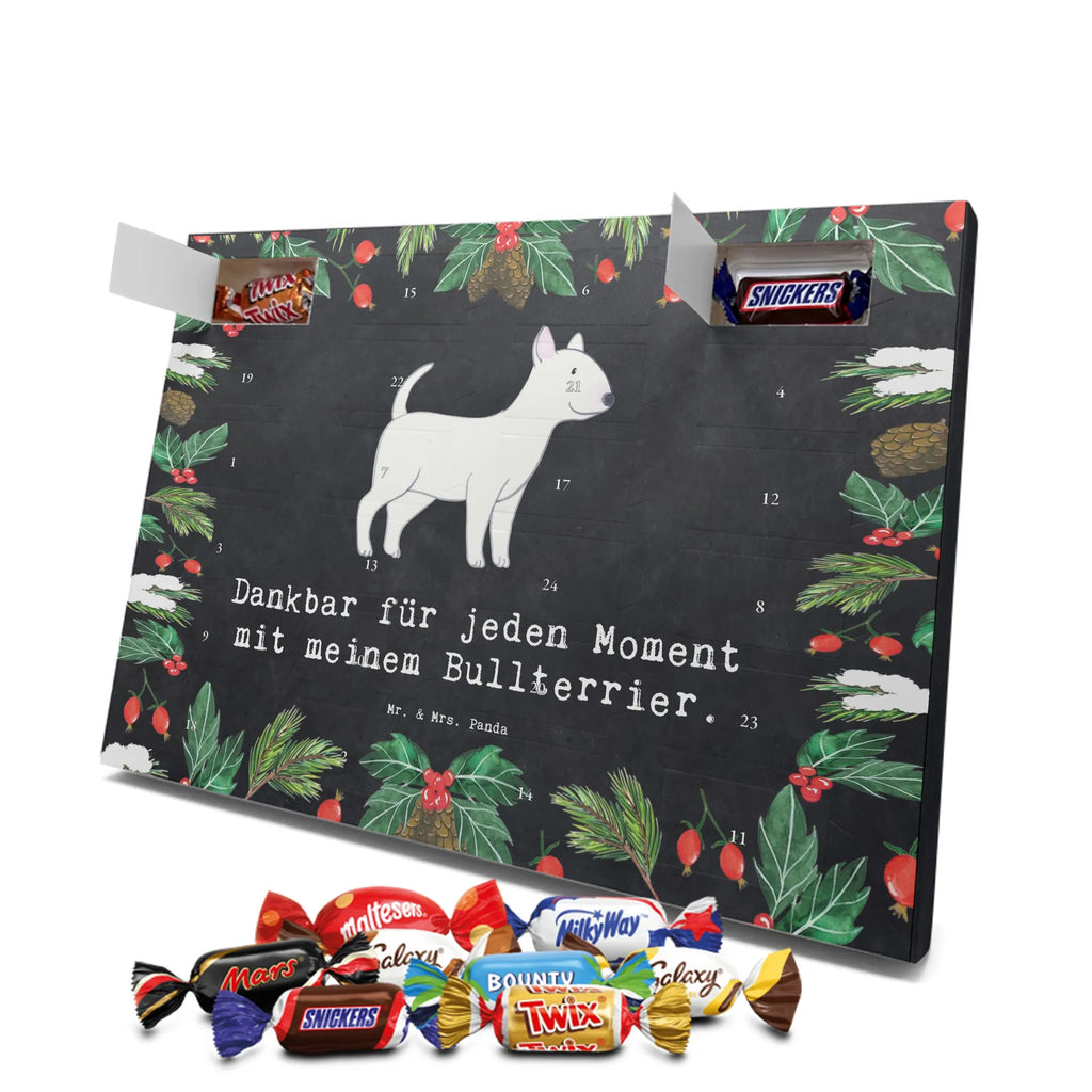 Chocolate advent calendar Bull Terrier Moment puppy, dog owner, purebred dog, dog breed, giving, animal lover, gift