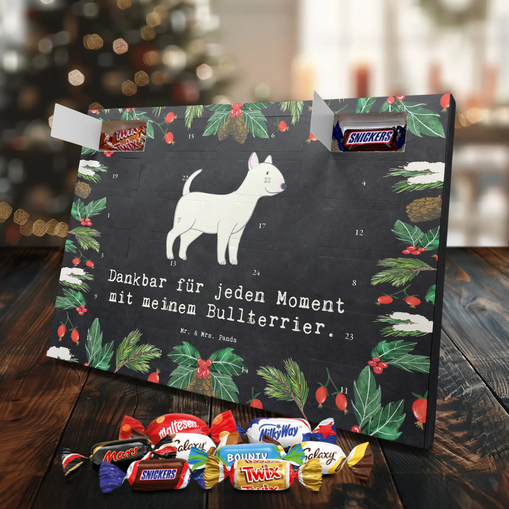 Chocolate advent calendar Bull Terrier Moment puppy, dog owner, purebred dog, dog breed, giving, animal lover, gift