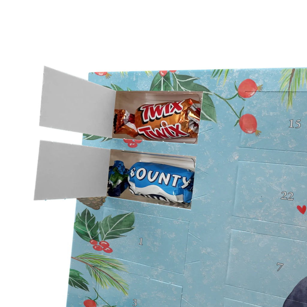 Chocolate advent calendar Penguin diet North Pole, Penguins, losing weight, self-respect, diet, body love, penguins, self-love, weight