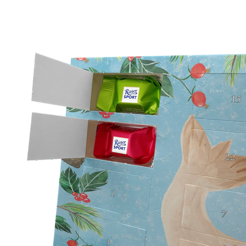 Chocolate advent calendar seal Lay gift ideas, gifts, small animals, good mood, cute, funny sayings, cute animal motives, hand drawn, special gifts, card, animal lover, sea animal, Baltic Sea, North Sea, joy, Seal, seals, laughter