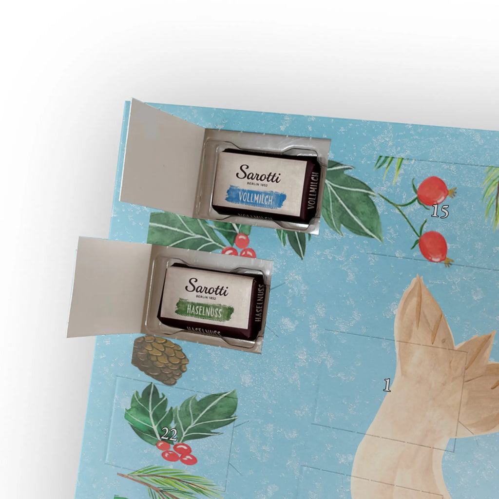 Chocolate advent calendar seal Lay gift ideas, gifts, small animals, good mood, cute, funny sayings, cute animal motives, hand drawn, special gifts, card, animal lover, sea animal, Baltic Sea, North Sea, joy, Seal, seals, laughter