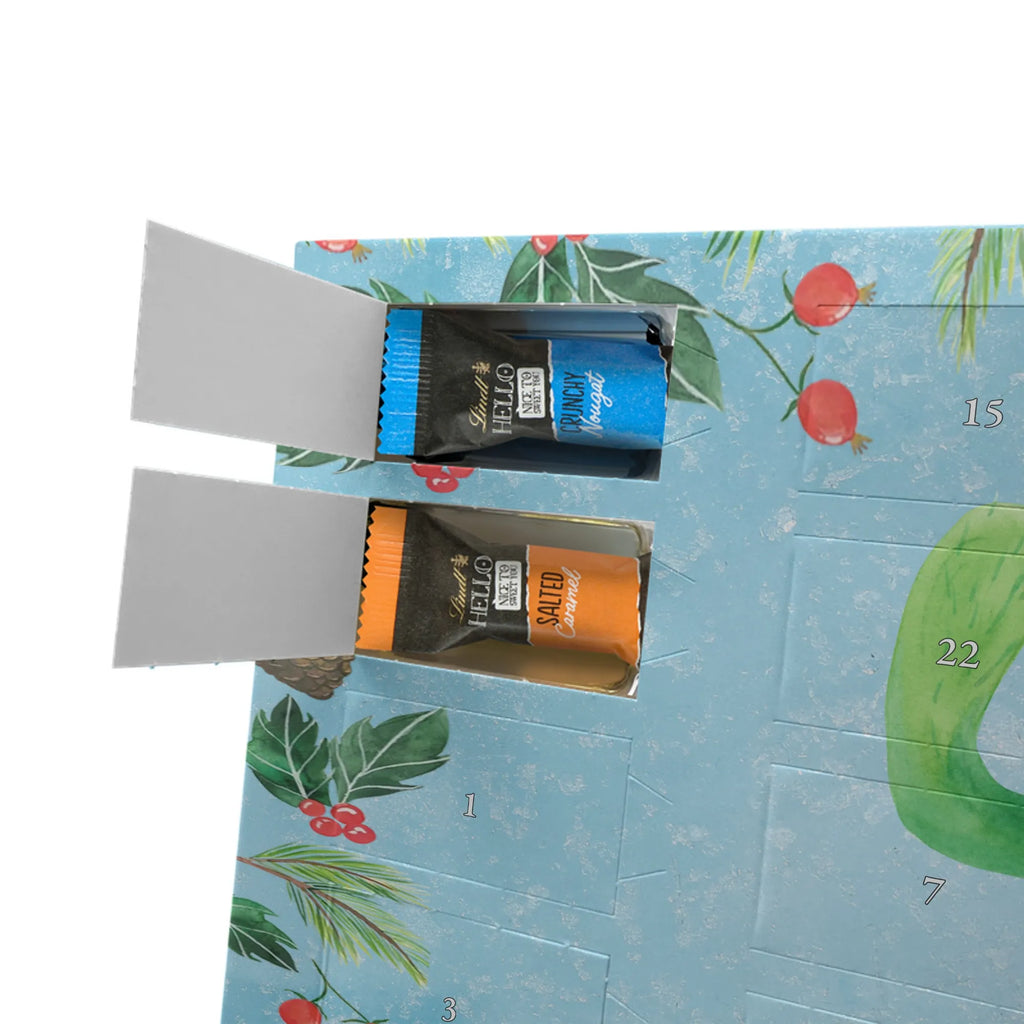 Chocolate advent calendar cactus happy cactus, cactuses, plants, small green cactus, cactus plant, cacti, child protection, colleague, friend, office life, new start, saying, education, mother