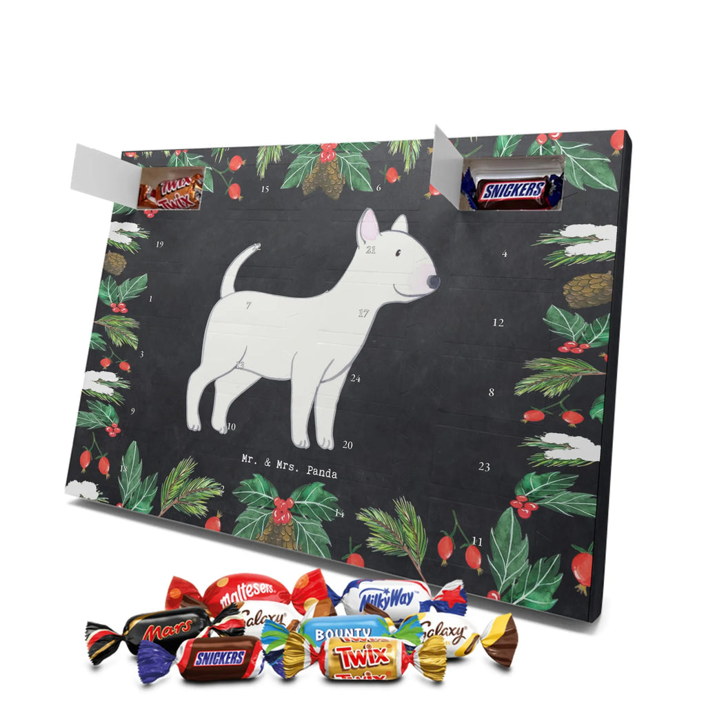 Chocolate advent calendar Bull Terrier Moment puppy, dog owner, purebred dog, dog breed, giving, animal lover, gift